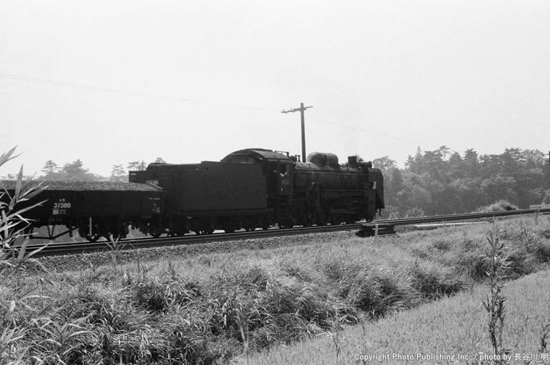 日本国有鉄道  D51121 （1959年9月撮影）
